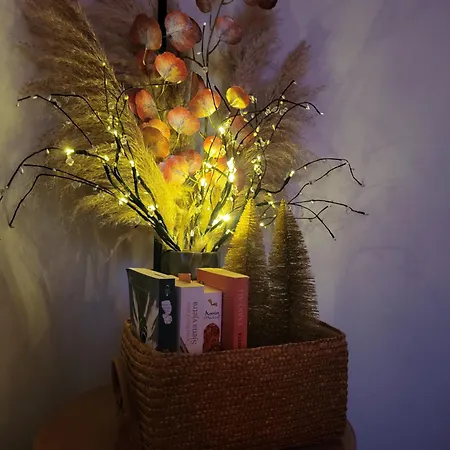 Eko Fis Snowscape דירה